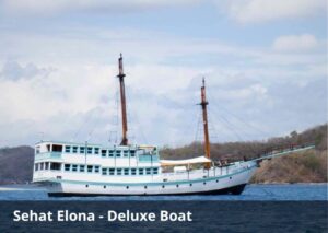 Sehat Elona Luxury Komodo Cruise – 4D3N Liveaboard Adventure