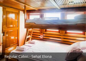 Regular Cabin Sehat Elona
