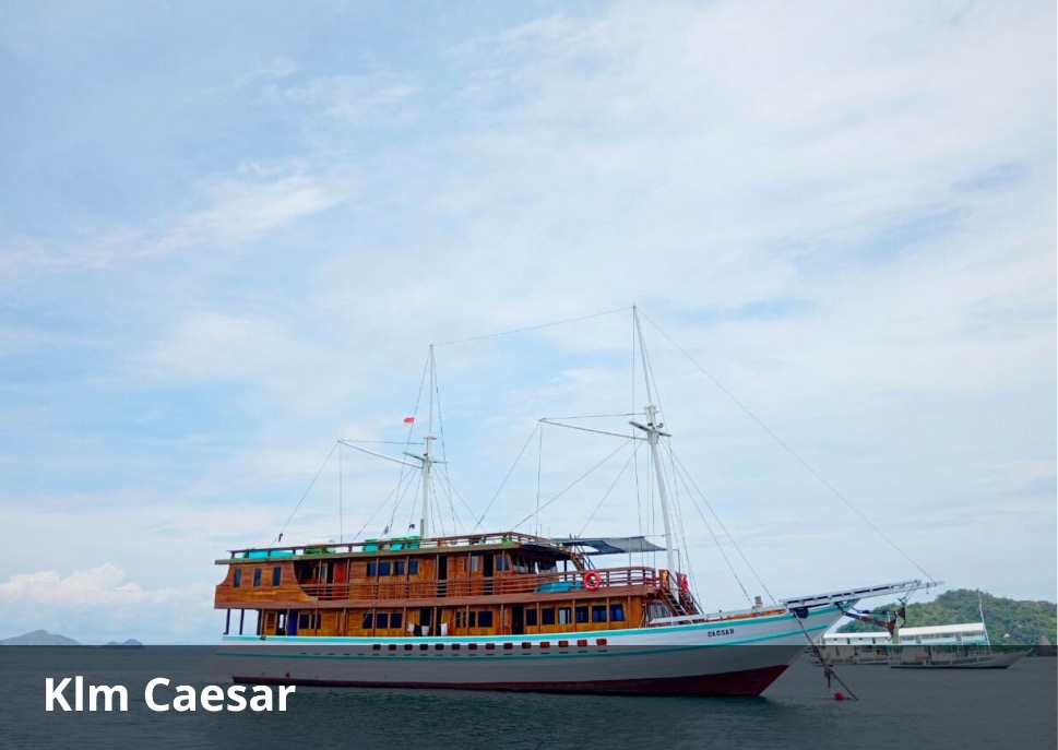 KLM Caesar Luxury Komodo Cruise 4D3N
