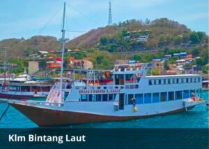 Komodo 4D3N Affordable Cruise – Budget & Standard Boat Options