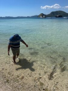 Baby Shark at Kelor Island